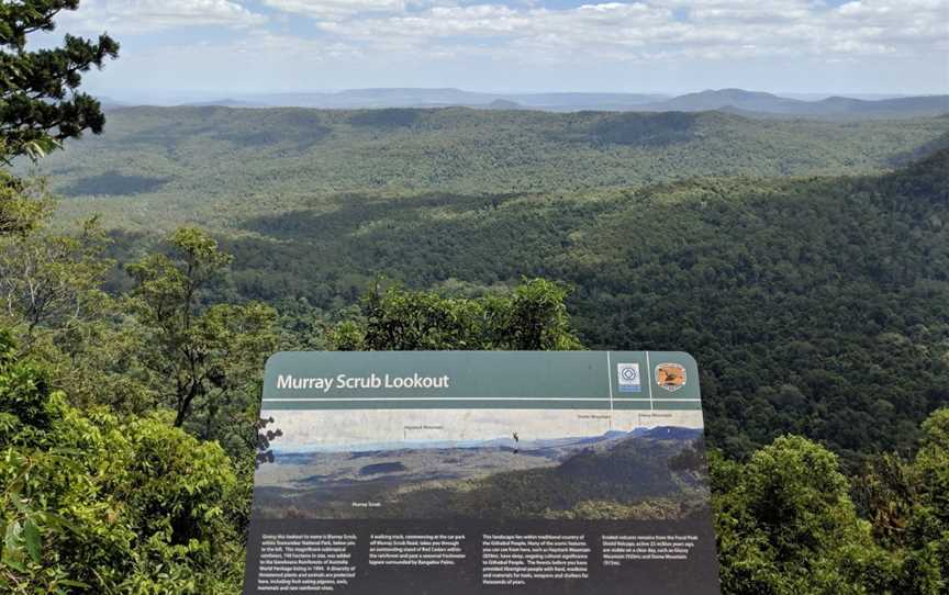 Murray Scrub lookout, Upper Eden Creek, NSW