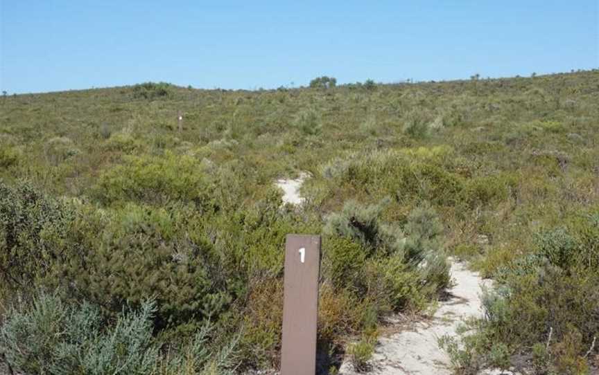 Badgingarra Nature Trail, Badgingarra, WA