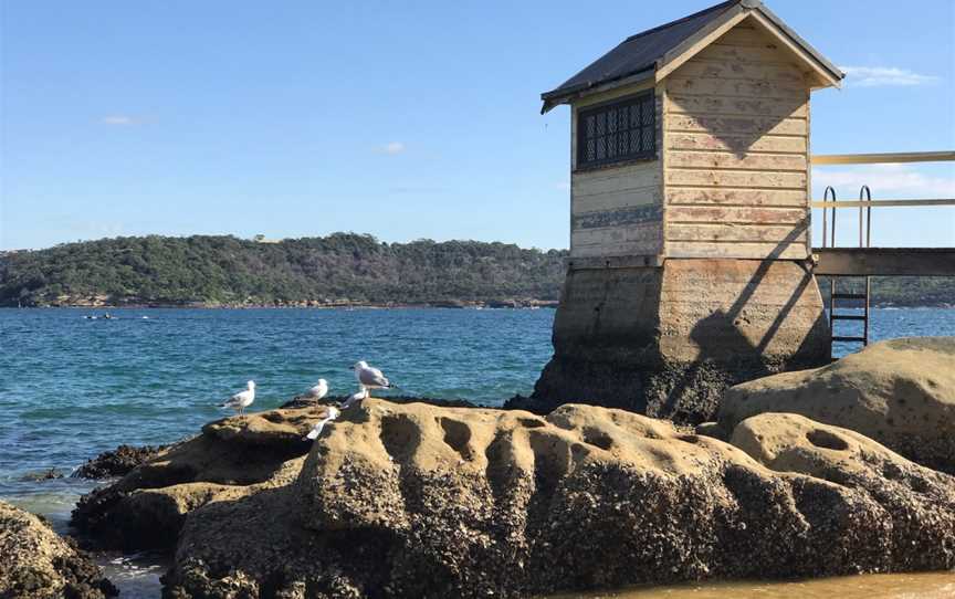 Camp Cove, Watsons Bay, NSW