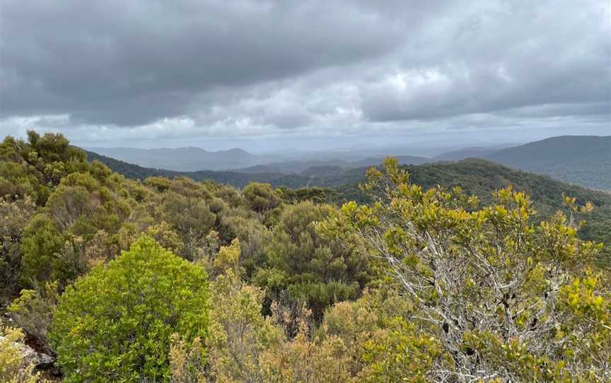 Whyte Hills Lookout, Waratah, TAS