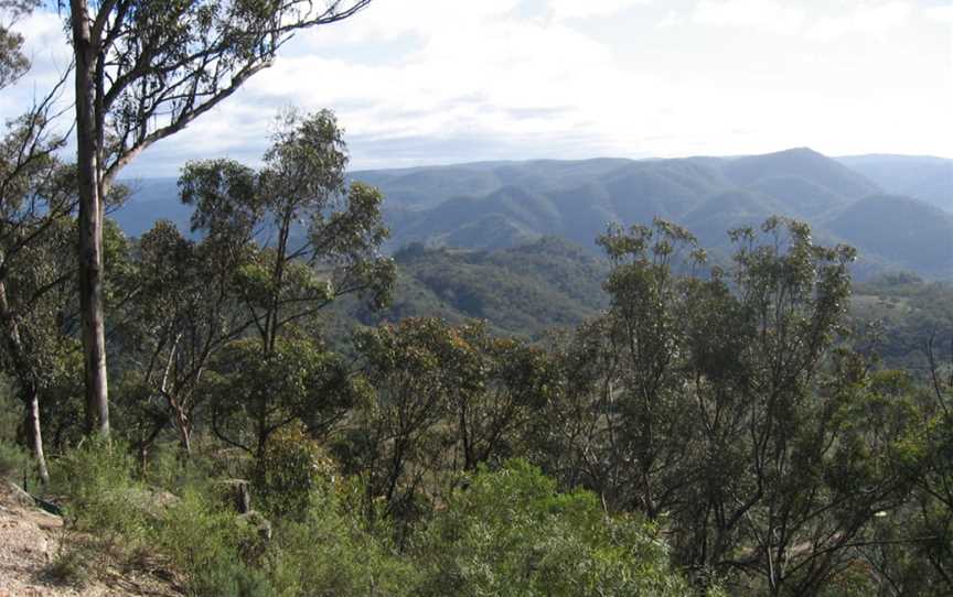 Nattai National Park, Wattle Ridge, NSW
