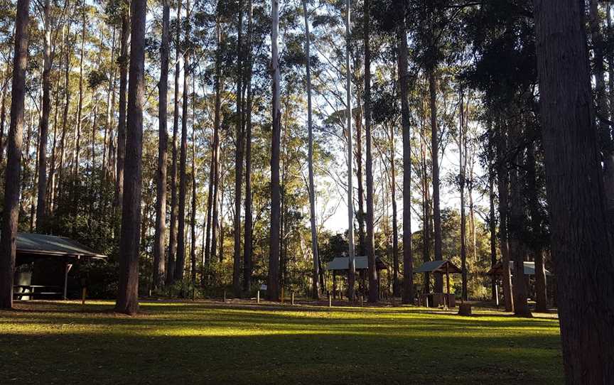 Bongil picnic area, Sawtell, NSW