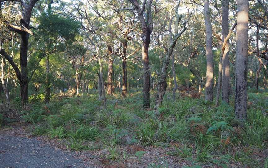 Red Point picnic area, Wollumboola, NSW