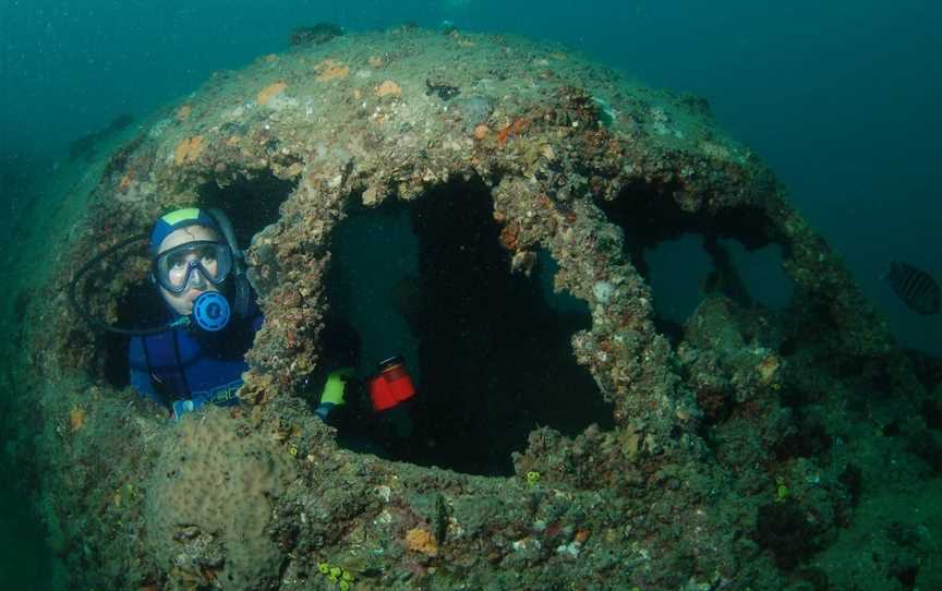 Cochrane Artificial Reef Dive Site, Bargara, QLD