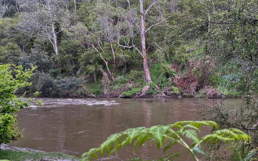 Warrandyte River Reserve, Warrandyte, VIC