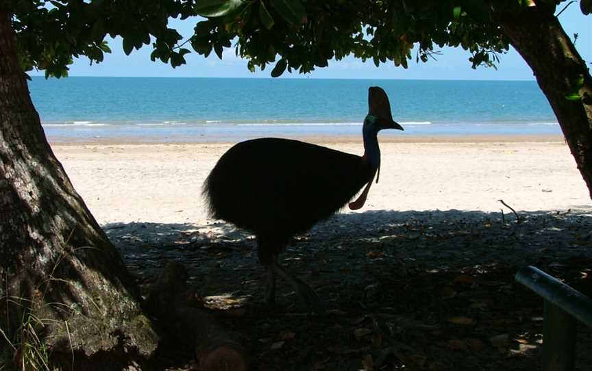 Etty Bay, Innisfail, QLD