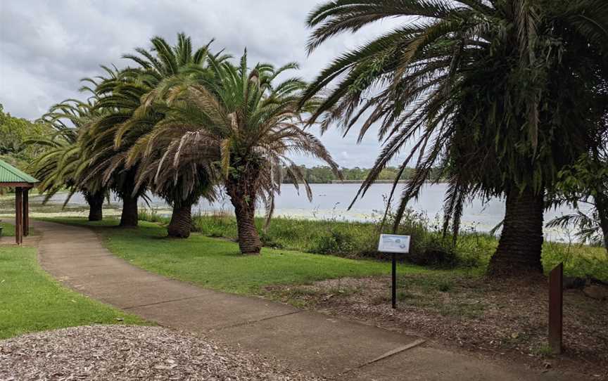 Noosa Botanic Gardens, Cooroy, QLD