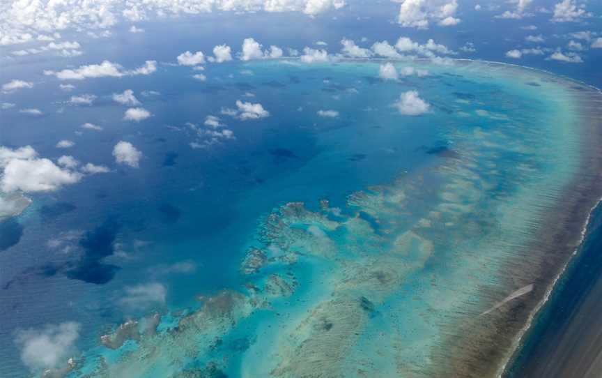 Great Barrier Reef, Cairns City, QLD