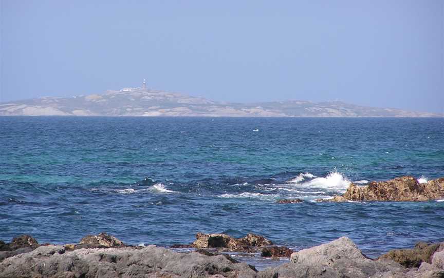 Montague Island, Narooma, NSW