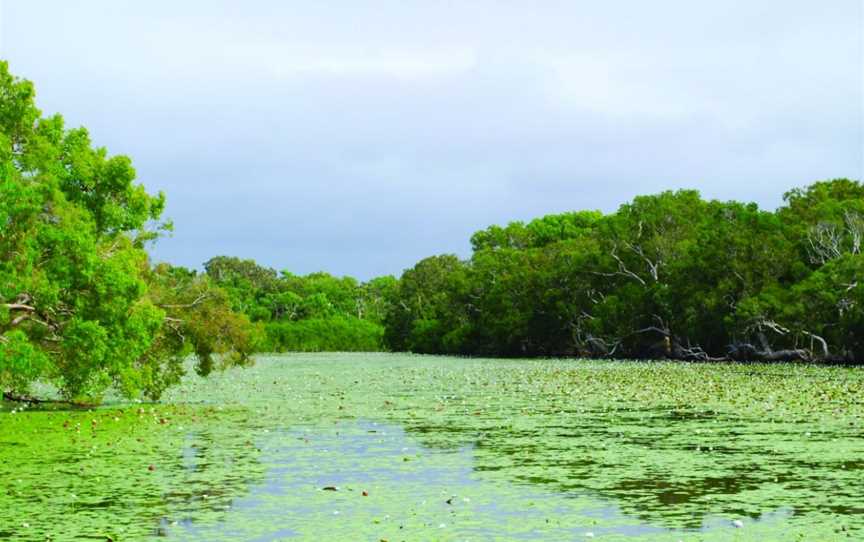 Keating's Lagoon, Cooktown, QLD