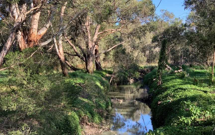 Blind Creek Trail, Wantirna, VIC