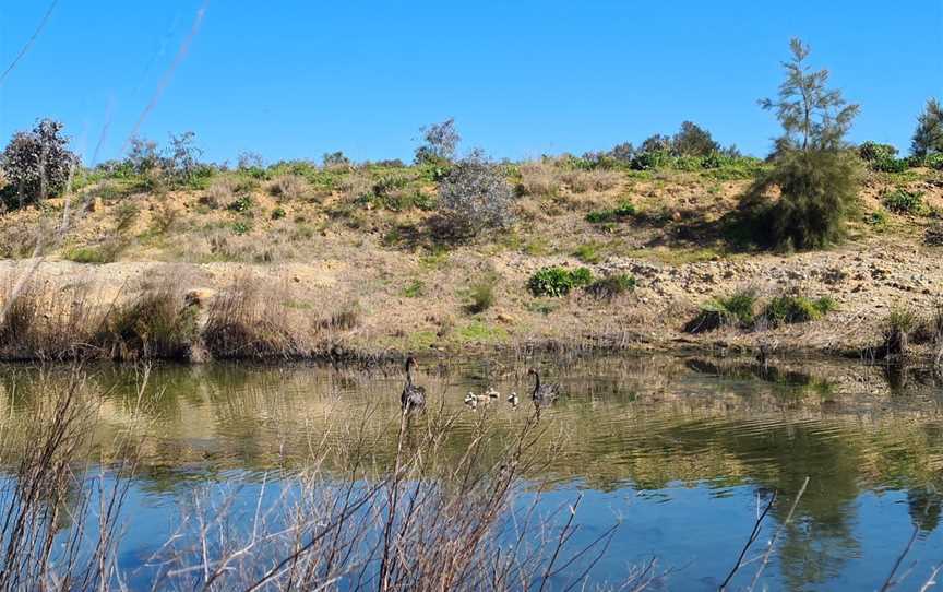 Putta Bucca Wetlands, Mudgee, NSW