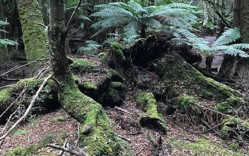 Trowutta Arch, Trowutta, TAS