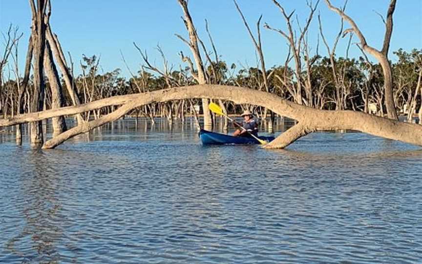 Lara Wetlands, Barcaldine, QLD
