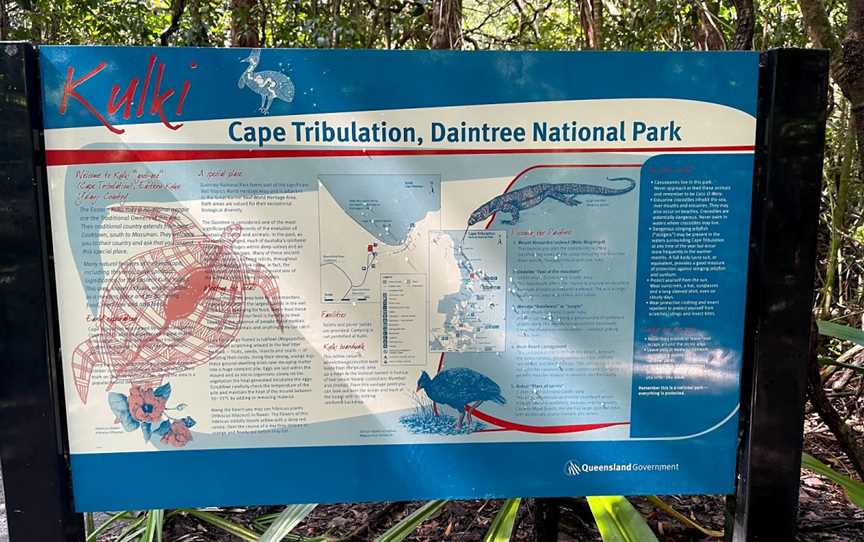 Kulki Boardwalk, Cape Tribulation, QLD