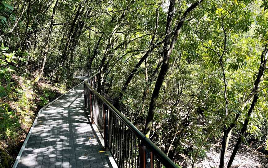 Kulki Boardwalk, Cape Tribulation, QLD