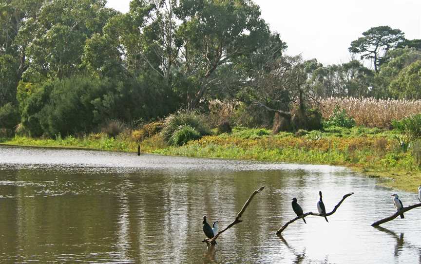 Coolart Wetlands and Homestead Reserve, Somers, VIC
