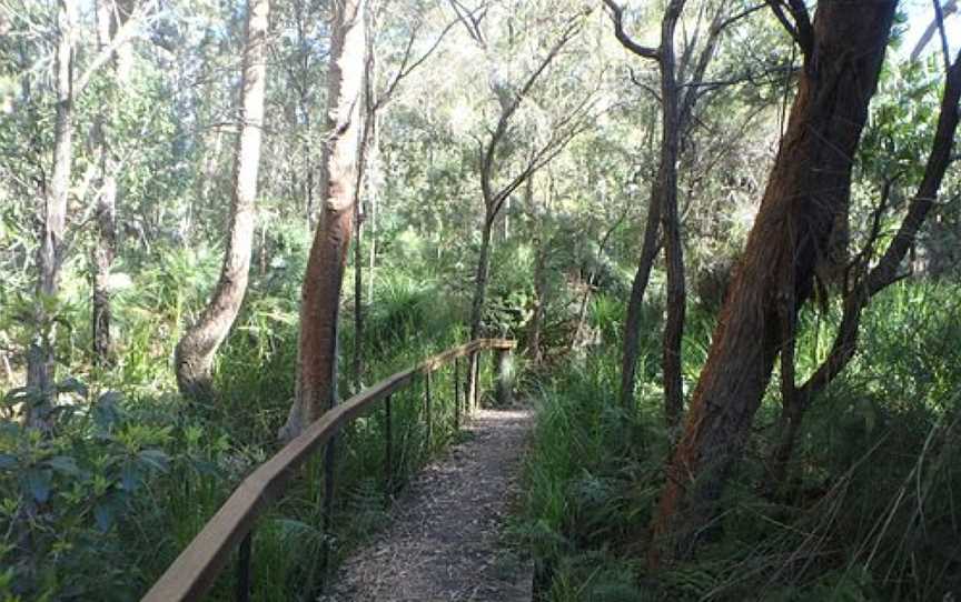 The Crommelin Native Arboretum, Pearl Beach, NSW
