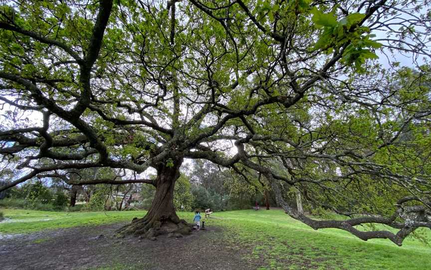 Kalang Park, Blackburn, VIC