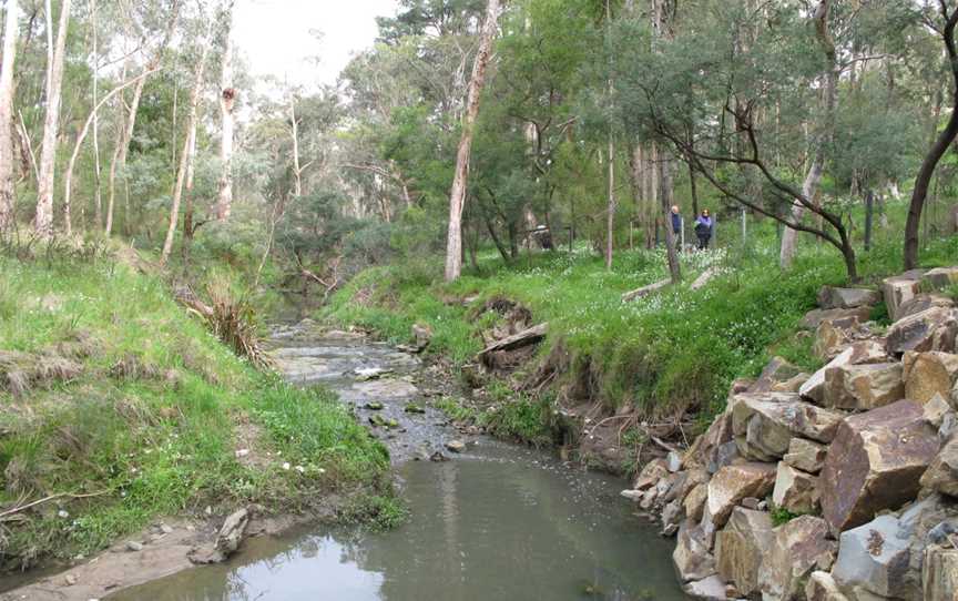 Yarran Dheran Nature Reserve, Mitcham, VIC