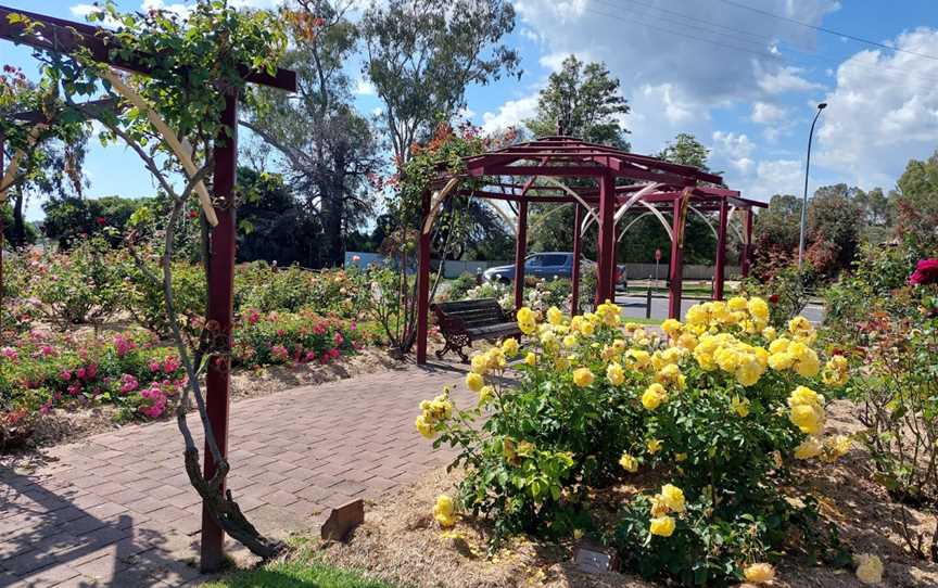Cowra Rose Garden, Cowra, NSW