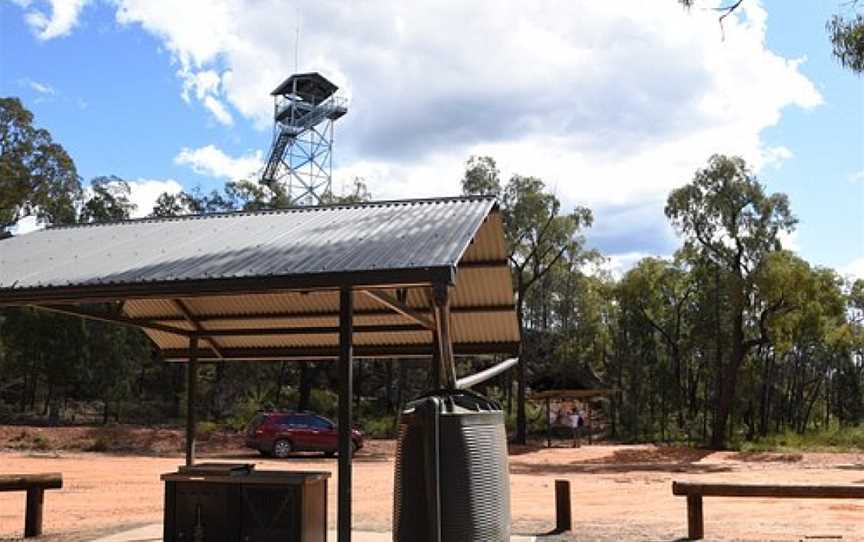 Pilliga National Park, Coonabarabran, NSW