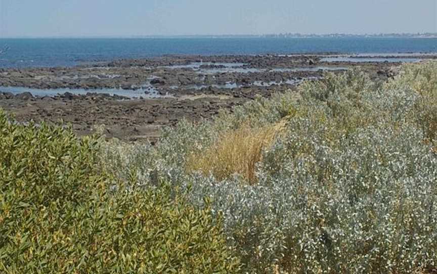 Cyril curtain reserve, Williamstown, VIC