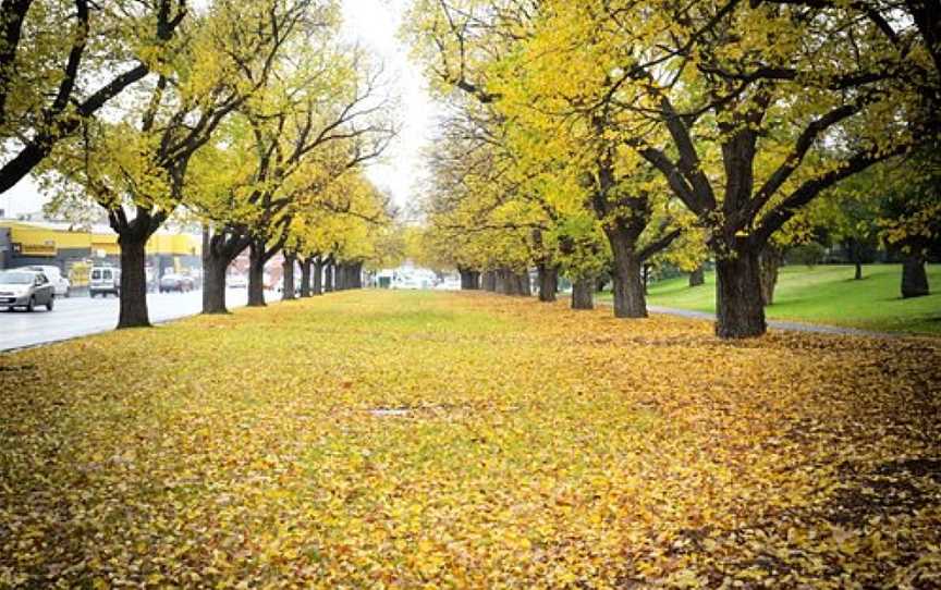 Darling Gardens, Clifton Hill, VIC