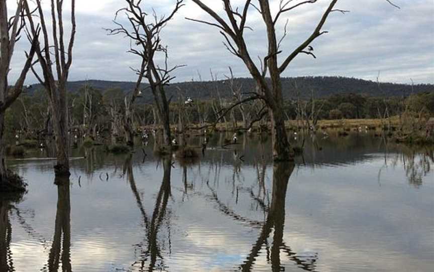 Wagirra Trail, Albury, NSW
