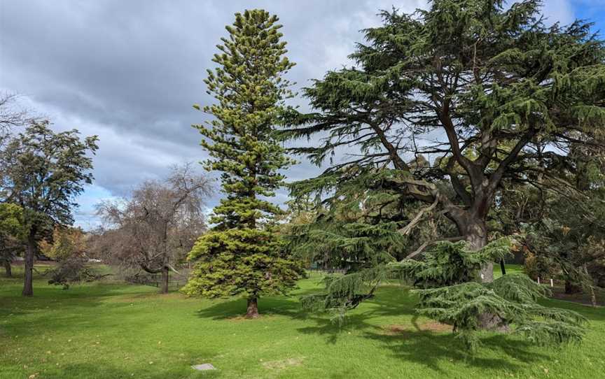 Boroondara Park, Canterbury, VIC
