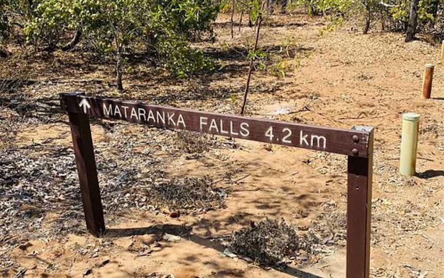 Mataranka Falls, Mataranka, NT