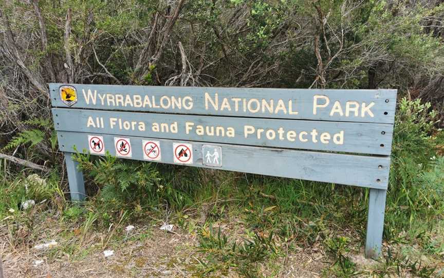 Wyrrabalong National Park, Magenta, NSW