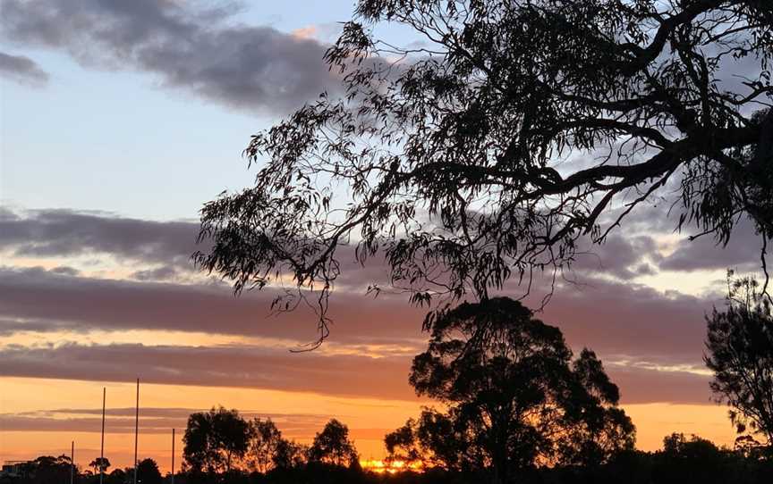 Lum Reserve, Wheelers Hill, VIC