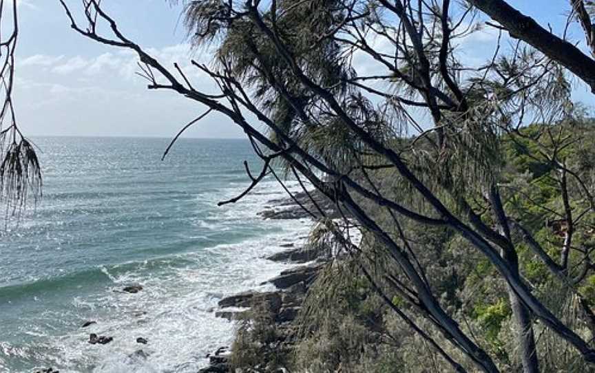 Point Arkwright Trail, Coolum Beach, QLD