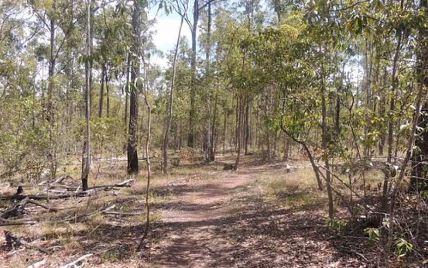 Promisedland Cordalba State Forest, Bundaberg, QLD
