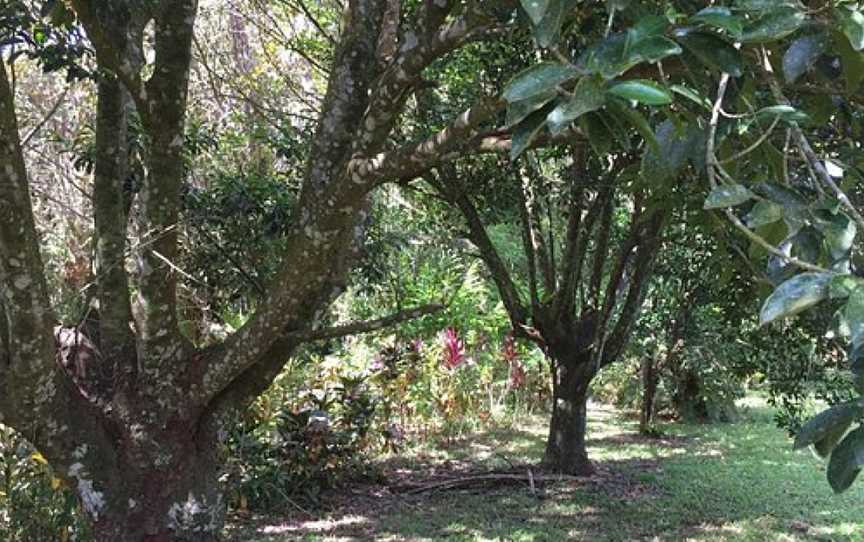 Whyanbeel Arboretum, Whyanbeel, QLD