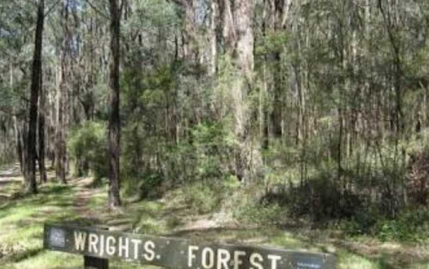 Wright Forest, Cockatoo, VIC