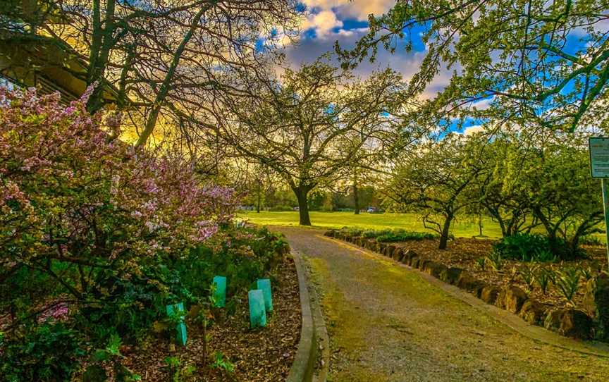 Grace Park, Hawthorn, VIC