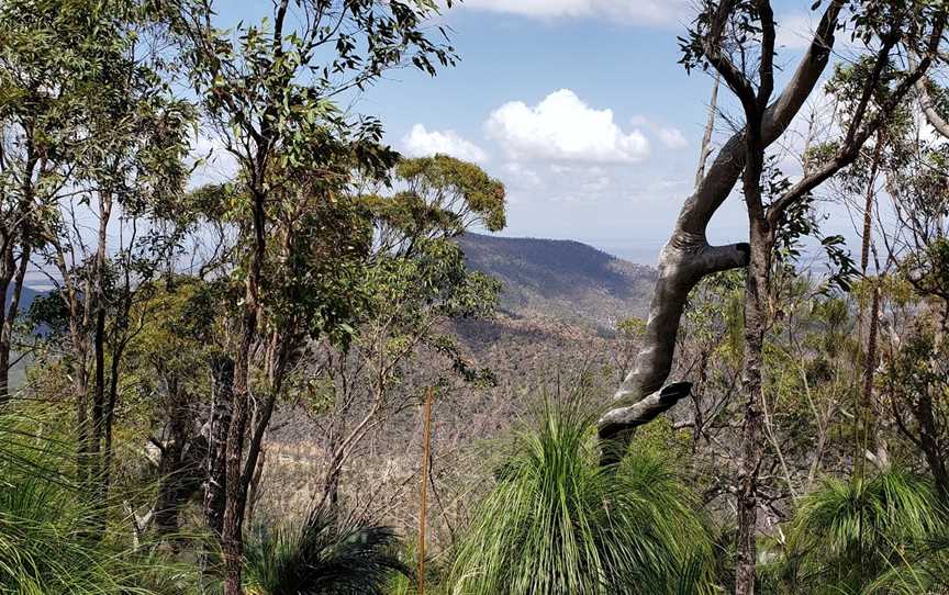 Grasstree Lookout, Rockhampton, QLD
