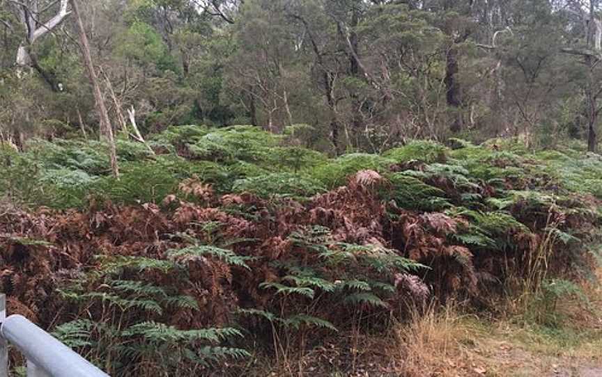 Mt Eliza Regional Park, Mount Eliza, VIC