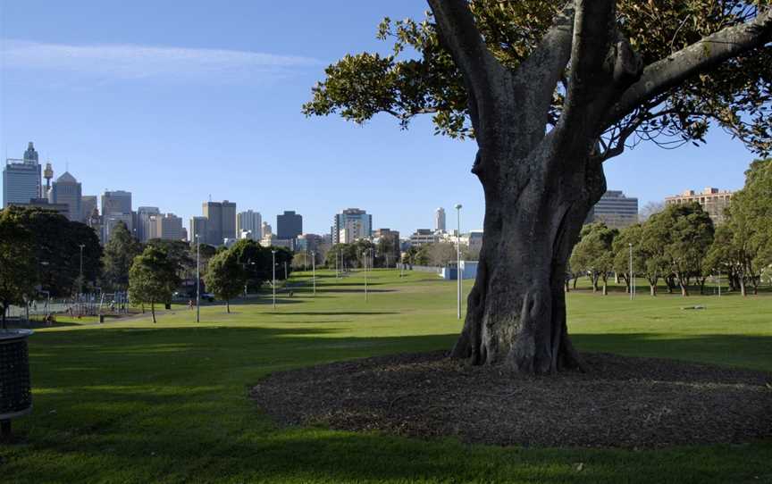 Prince Alfred Park, Surry Hills, NSW