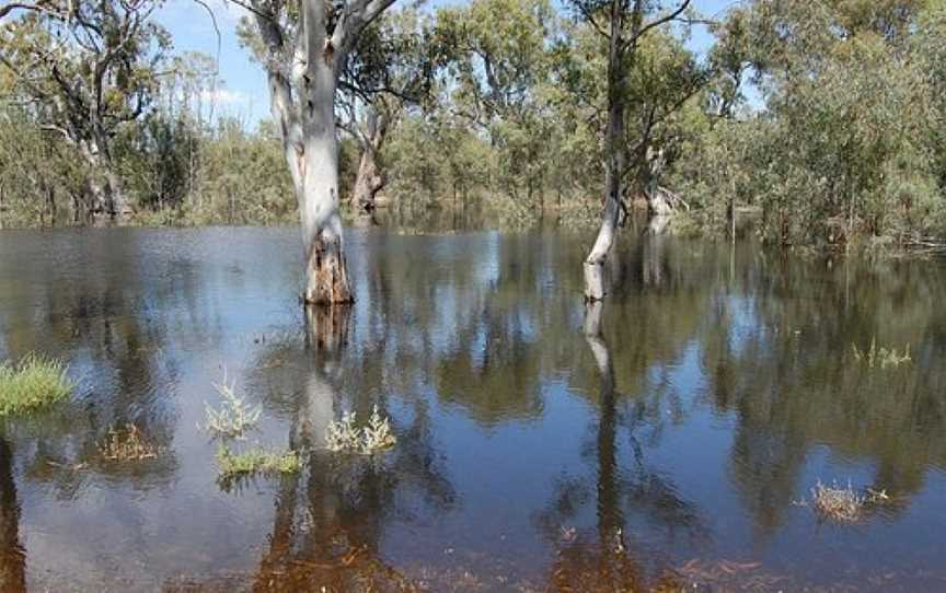 Thegoa Lagoon & Reserve, Wentworth, NSW