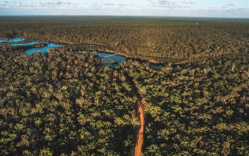 Wongi State forest (not national park), Maryborough, QLD
