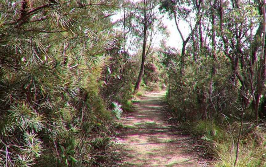 Cliff Top Walking Track, Blackheath, NSW