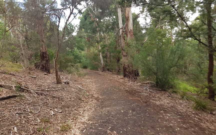 Fairway Reserve, Mount Waverley, VIC