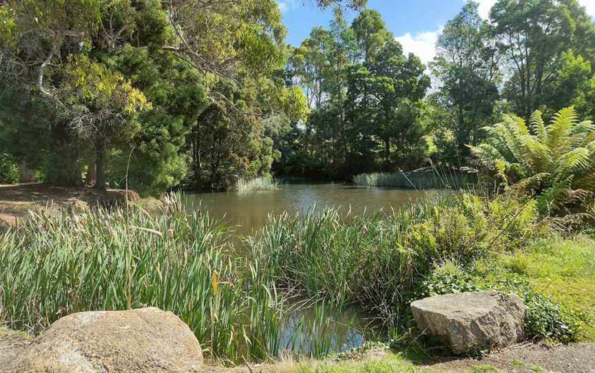 Northeast Park, Scottsdale, TAS