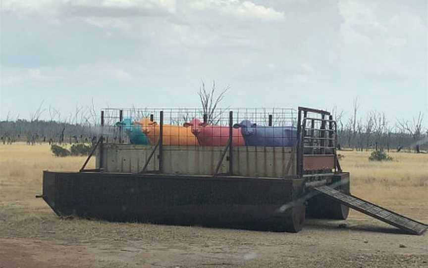 Winton Wetlands Art Trail, Benalla, VIC