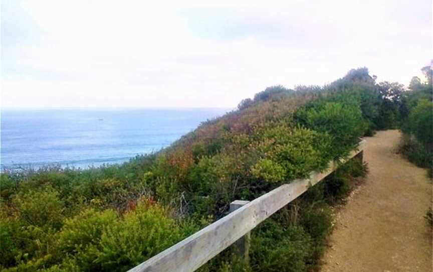 Fitzpatrick Seat, Aireys Inlet, VIC