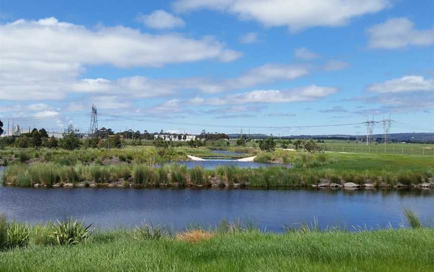 Firmins Lane Wetlands, Morwell, VIC