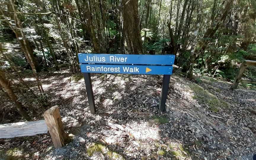 Julius River Rainforest Walk, Trowutta, TAS